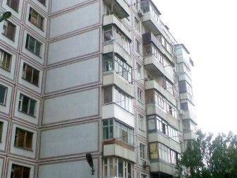 ����������� ���������� ������ ����� ���� 1-��, ���, ����� ���, ��, ������� 38370888 � �������-��-����