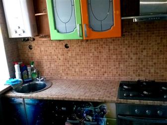 ���������� foto  C�a� 3-��, A�e�ca��po��a, �p-�� 40-�e��� �o�e��, oc�, po�a 38683901 � �������-��-����