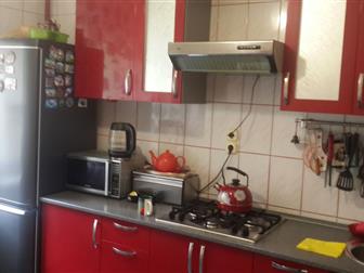 3- ,  ,   ,   ,  ,     ,   ,  --