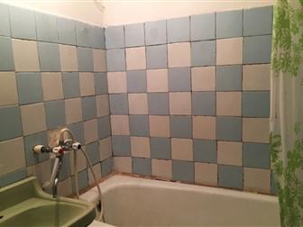   3-     !       ,       ,   --