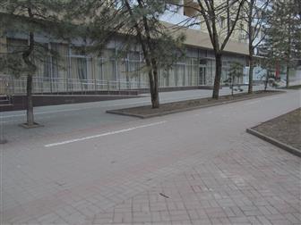   3-      ,             ,    --