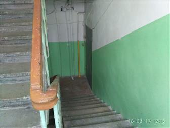  :  
 : 513702113
  4   -- / ,   --