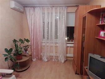  2-  ()  9-    (1979 ),       , 
  ,    --