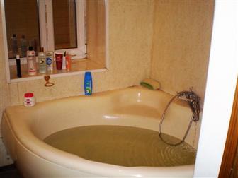  5-     , 114,9/91,1/12 ,  , ,  1-  2-   ,  //,  --