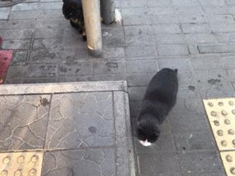     ,  ,    ,       ,  --