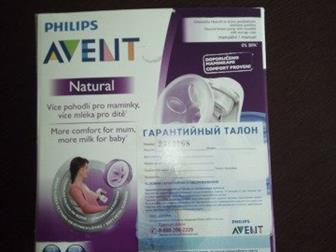   Avent   ,   ,           : /  --