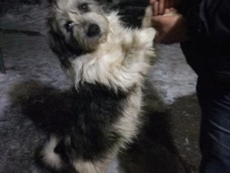      ,      !   , ,  , , , , ,    --