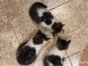   1, 5 ,     , ,    ,  