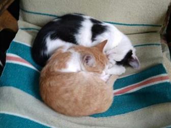  , , , ,  , ,   ,      ,   , ,   ,  