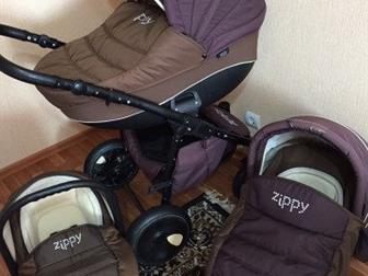     Tutis Zippy New (  ) 31,    ,     ,         ,  