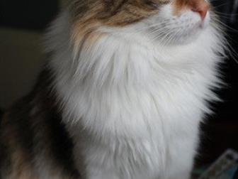          !3-,   ,   1 ,  , , , ,  