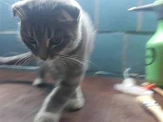 !!   , ,  , ,,,,  ,  3-4,     , ,   ,,  