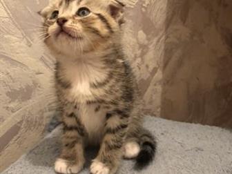              ??  