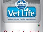 Farmina Vet Life gastrointestinal  