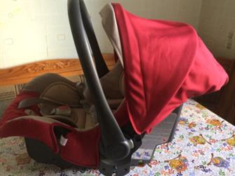   inglesina,   ,  !: /  -