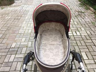  X-Lander X-Pram Q,      ,   300      X-Run  XA,   , :  -