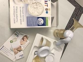   Philips Avent,    ,       , : /  -