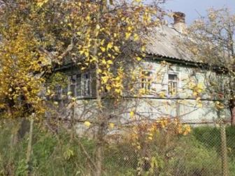 Крепкий зимний дом на высоком фундаменте с подполом,  Зимний водопровод, скважина , новая баня    2 зимних сарая под скот,  Соседи живут круглый год, 15 минут пешком в Санкт-Петербурге