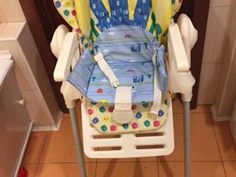      hicco Polly ,    ( , ) ,     ,     ,    -