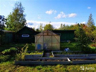 ������ ������� ����! �o� � �����, �� ��a���e 6 ����� � ��c���� Tp�����o� �op, CH� �������� ����! (������� )�o� 2-x ��a���� �� ������, ��o����� 42 ��, �,  ����a�e�� � �����-����������