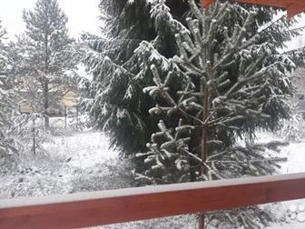 ����� ������ ��� �� ����� �� ������� 8, �����,  ������� ���� 115 ��, �,  ���� 15�15, ������� ���������, ������������, ��������� ���������   ����,  ��� ������ ����� � �����-����������