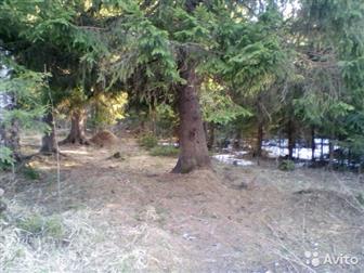 �������� ����� � ������ �������, 13 �����, � ��� ����-1 ������������� �-��,  �� ����� ������ 25 ���,  �� ������,  �� �/� ��������� ���� 20 ����� ������,  �������� � �����-����������