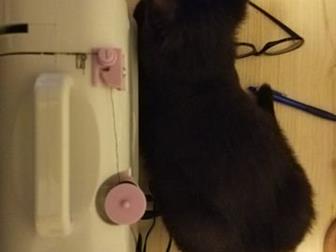 ,  1     ,   ,    ,  ,    ,      -