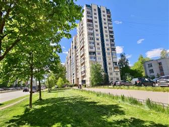 ������ �����-��������� ���� ��������