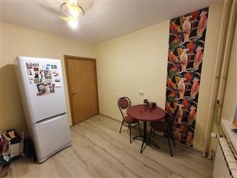 � �����-����������