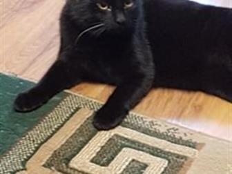   ,  !!!    ,  ! ,    !    ,    )   