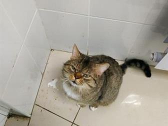     ,   ,    ,        ,  