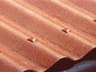   foto    (7,8-, ),  , ,  (4, 6, 8,10 ) 33466245   