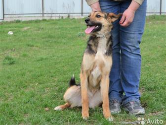 !!! )))   (   ), ,   1 ,   ,    ,     