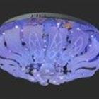 �������� - ����� � ����� ����� � ��������