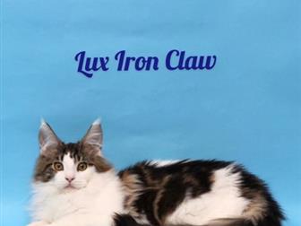   -   Iron Claw,     11, 11, 2019,        ,        
