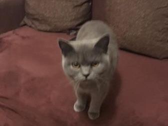  ,   ,    ,   ,      ,  