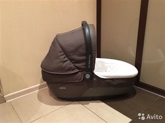     Peg Perego Navetta XL (),   -  -10000 ,     Peg-Perego Book 51 Titania ,  