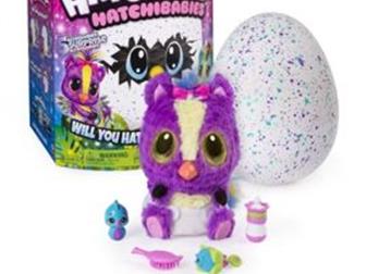  HATCHIMALS -    () 6044070 ,         ,  ,  