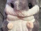  3  1