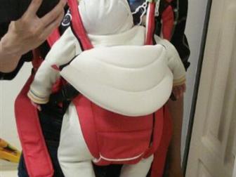       Chicco,       ,    ,         ,  