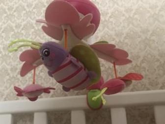    Tiny Love    ,        ,  /  , ,  