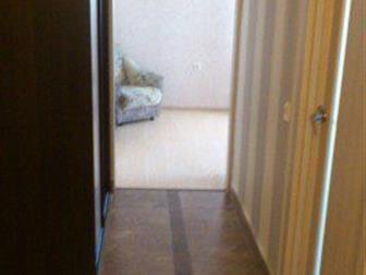 id: 49970336       2-    ,    50   - ,     ,  
