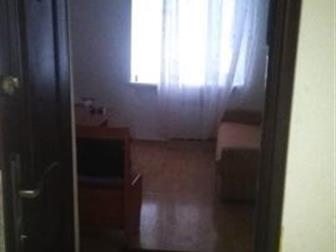 id: 49977581    ( ),    ,   ,   ,  ,    