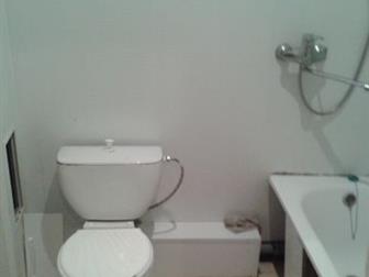 id: 49978041   (  ),  ,   ,  ,   ,        