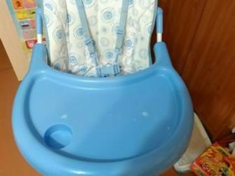    Leader Kids C-H One Tray, : ,  , , , ,  ,     , :  
