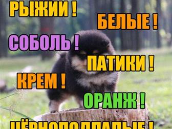  !   - ,      ,    ,       !  