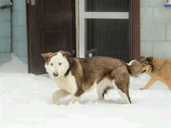    ,  10 ,   , ,    ,       ,     
