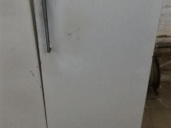  ,  ,   !      ,  , 37 :    :    