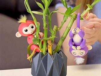   ?    ? ?     Fingerlings! ---------------------   