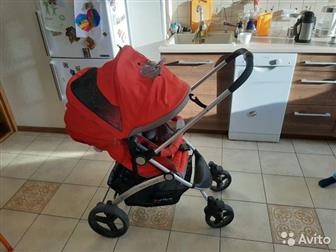  Baby CARE Seville,    , :  -     (   ,   )-2  :    